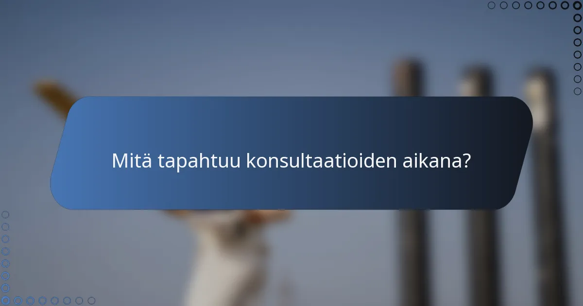 Mitä tapahtuu konsultaatioiden aikana?